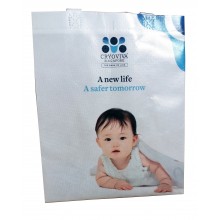 Non Woven Bag (Machine Pressed, Glossy Coating)
