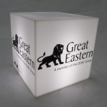 Logo Light Box